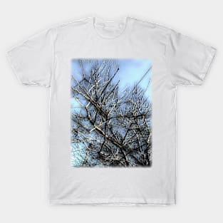 Rustic Almond Tree T-Shirt